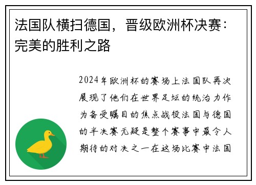 法国队横扫德国，晋级欧洲杯决赛：完美的胜利之路